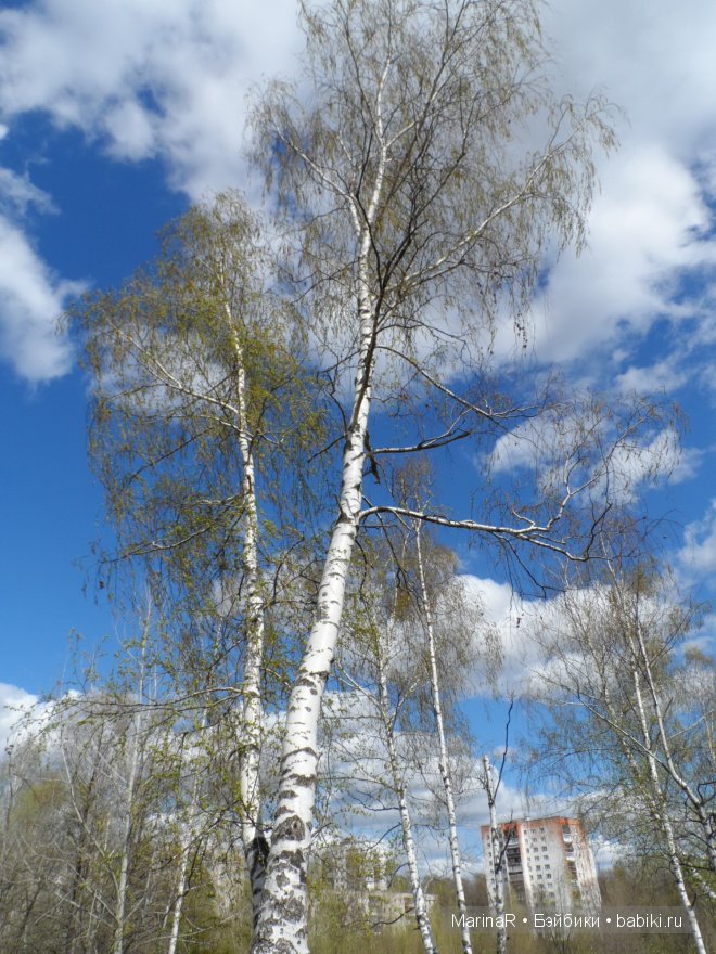 Весенняя прогулка Таси. (LittleFee от FairyLand)