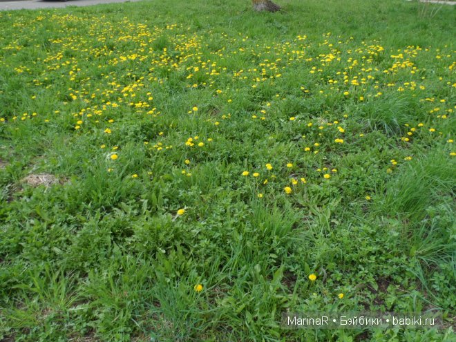 Весенняя прогулка Таси. (LittleFee от FairyLand)