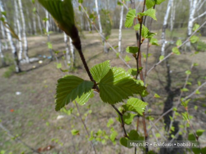 Весенняя прогулка Таси. (LittleFee от FairyLand)