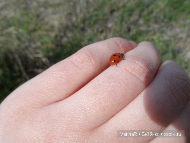 Весенняя прогулка Таси. (LittleFee от FairyLand)