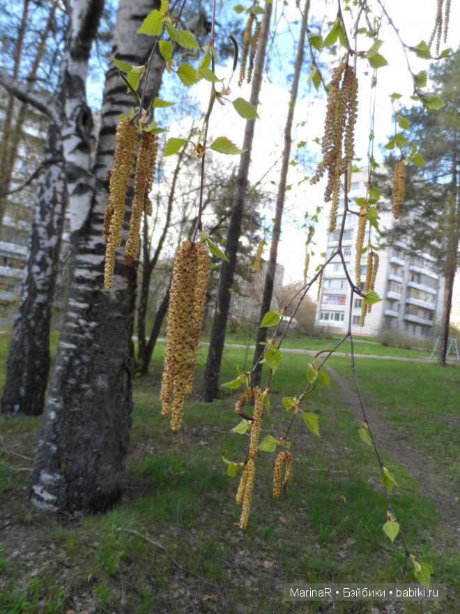 Весенняя прогулка Таси. (LittleFee от FairyLand)