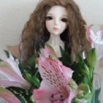 Новый парик Миланы. Ji от 5STARDOL