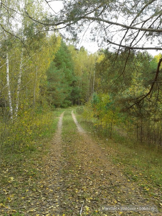 Наслаждаясь осенью — Куклы Iplehouse (Иплхаус): BJD (БЖД)