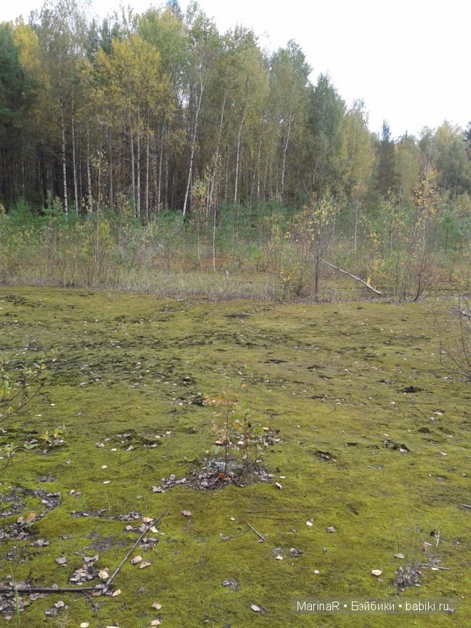 Наслаждаясь осенью — Куклы Iplehouse (Иплхаус): BJD (БЖД)