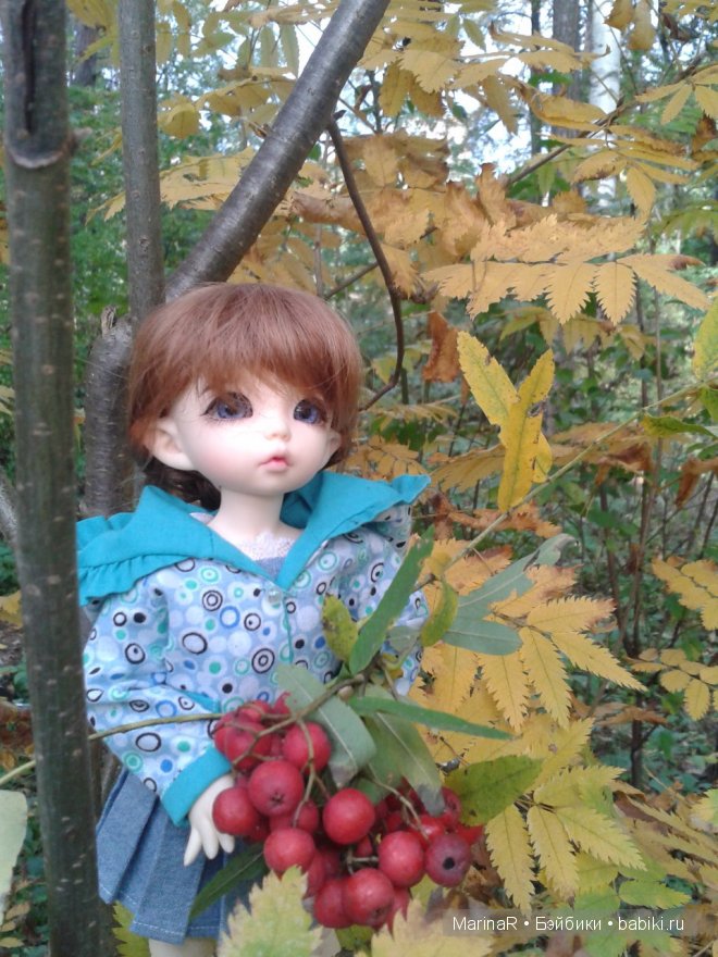 Наслаждаясь осенью — Куклы Iplehouse (Иплхаус): BJD (БЖД)