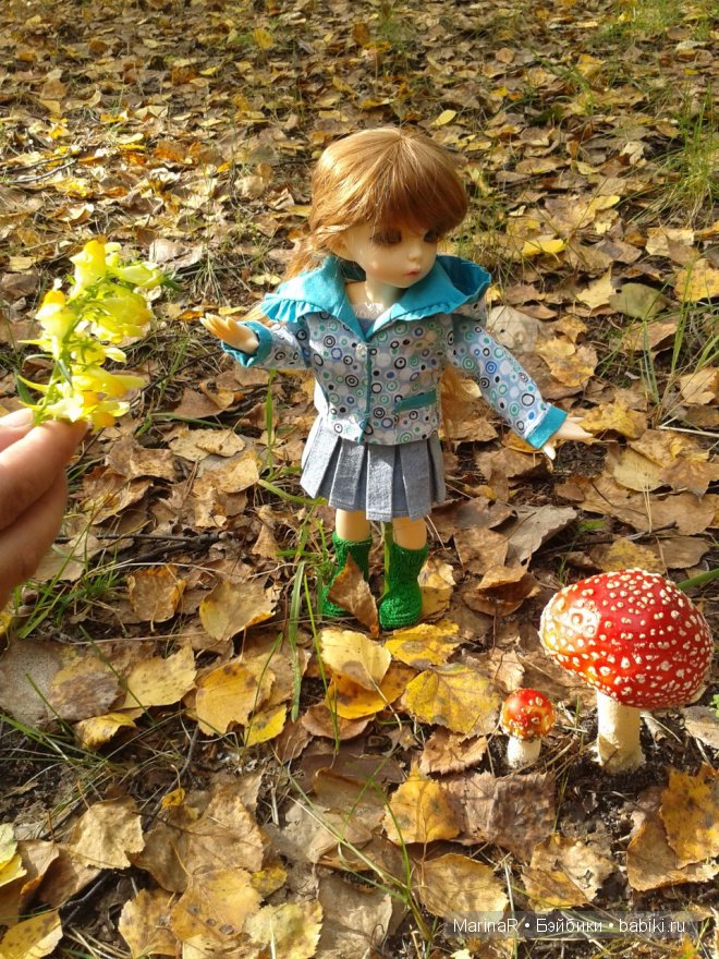 Наслаждаясь осенью — Куклы Iplehouse (Иплхаус): BJD (БЖД)