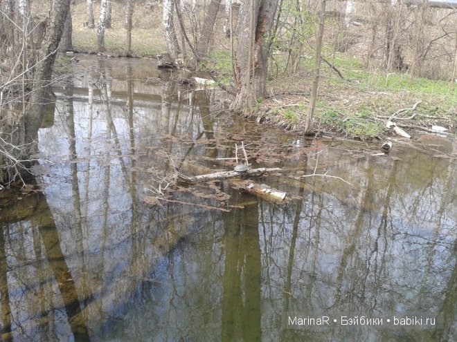 Три сестрицы под окном..... от FairyLand (фото 6)