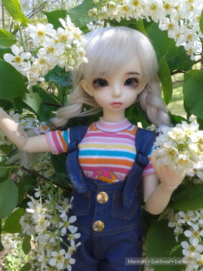 MiniFee Ante, FairlyLand
