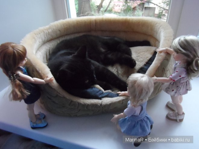 Девиз наш прост----каждому ребенку по котенку))) LittleFee от FairyLand (фото 8)