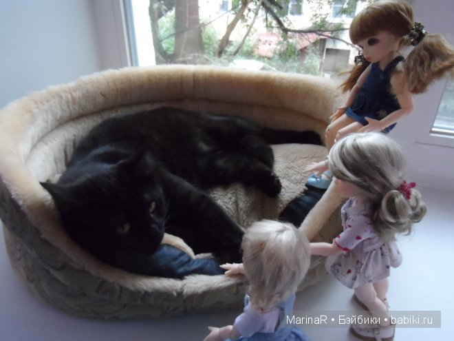 Девиз наш прост----каждому ребенку по котенку))) LittleFee от FairyLand (фото 9)