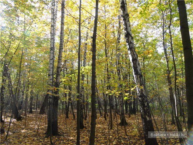 куклы коллекционные Heart and Soul