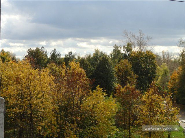 куклы коллекционные Heart and Soul