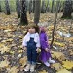 Бабье лето  в лесу с Марейкой и Амбер.