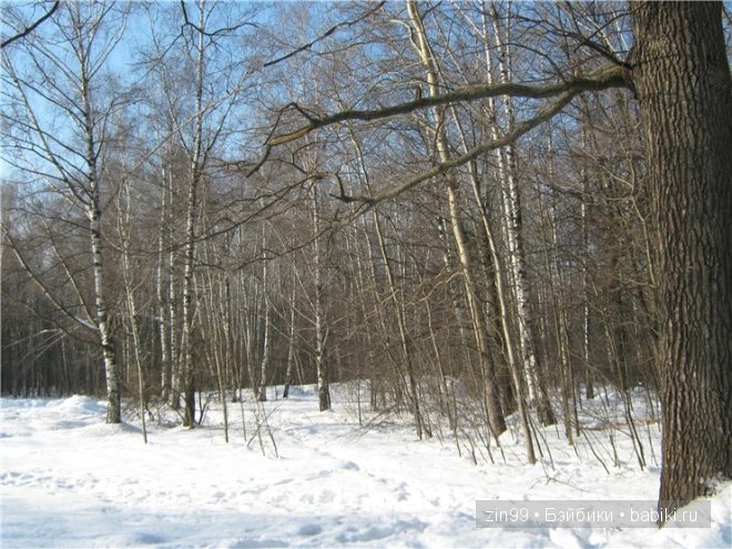 Готц,коллекционные куклы Готц,коллекционные куклы