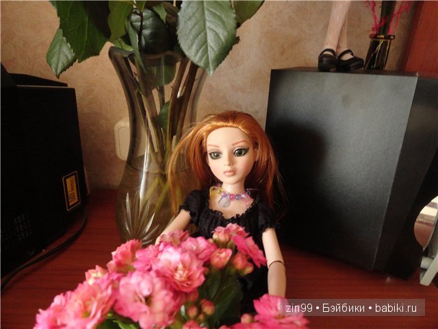 Амбер Ellowyne и Алиса Curiouser от Тоннера (фото 8)