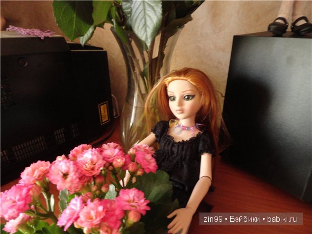 Амбер Ellowyne и Алиса Curiouser от Тоннера (фото 7)