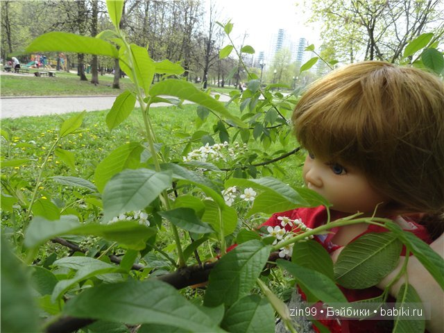 игровые и коллекционные куклы