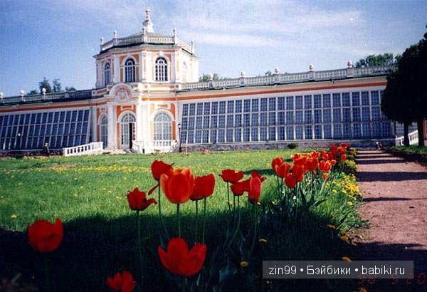 игровые и коллекционные куклы