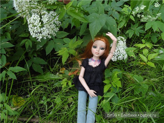 Essential Amber Collection от Robert Tonner 2012 года,и язык цветов