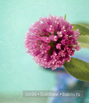 Essential Amber Collection от Robert Tonner 2012 года,и язык цветов (фото 2)