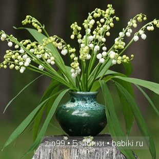 Essential Amber Collection от Robert Tonner 2012 года,и язык цветов