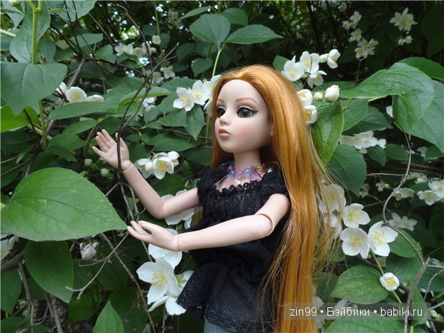 Essential Amber Collection от Robert Tonner 2012 года,и язык цветов (фото 9)