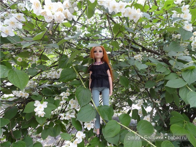 Essential Amber Collection от Robert Tonner 2012 года,и язык цветов (фото 10)