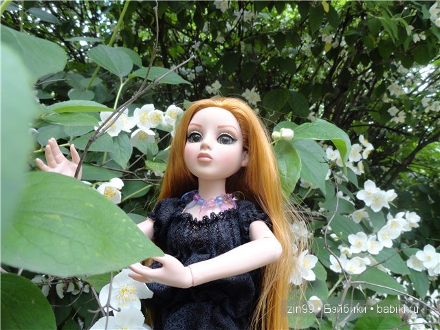 Essential Amber Collection от Robert Tonner 2012 года,и язык цветов (фото 7)