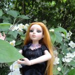 Essential Amber Collection от Robert Tonner 2012 года,и язык цветов