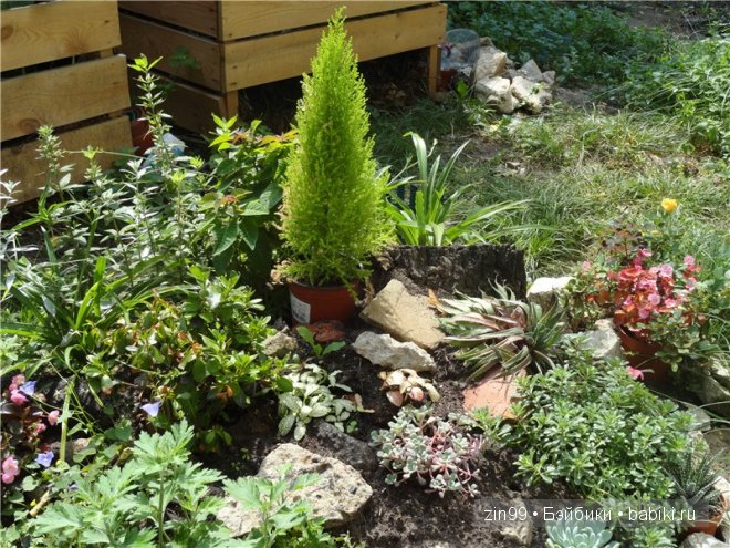 игровые и коллекционные куклы