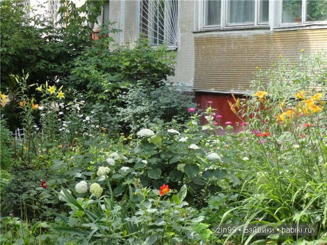 игровые и коллекционные куклы