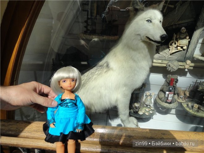 Москва, центр глазами Тонг-Тонг