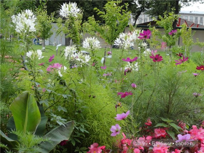 игровые и коллекционные куклы