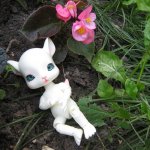 Прогулка по парку Сокольники в Москве в компании с Мышонком!