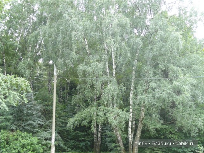 Лена, Lena Kidz 'n' Cats