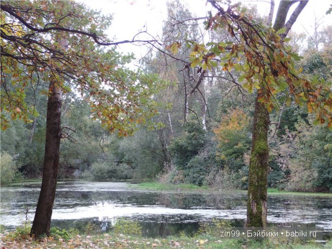 Осенняя прогулка с Ниной, куклой Готц и новые куклы journey girls doll уже в Москве