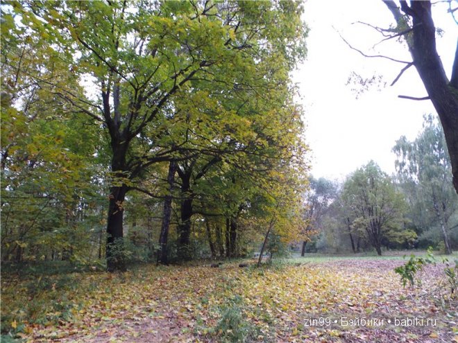 Лена, Lena Kidz 'n' Cats