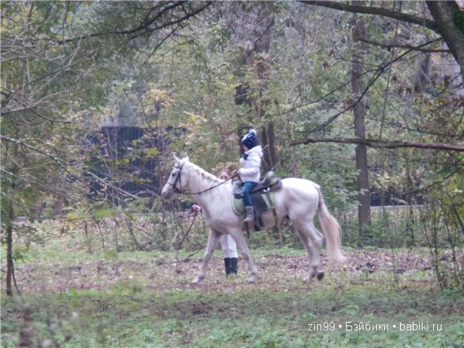 Лена, Lena Kidz 'n' Cats