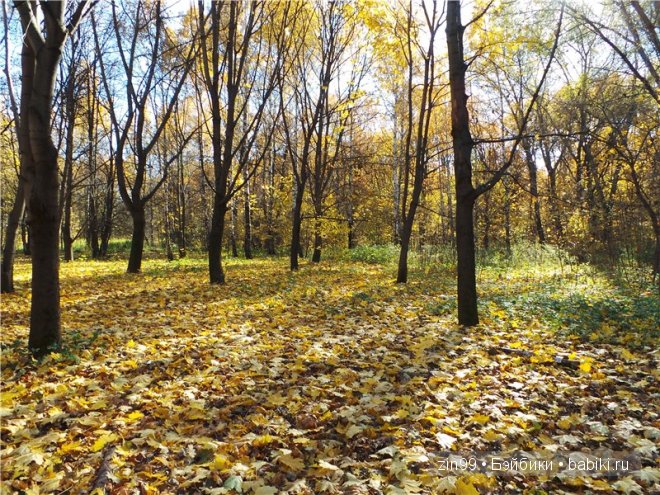 Лена, Lena Kidz 'n' Cats