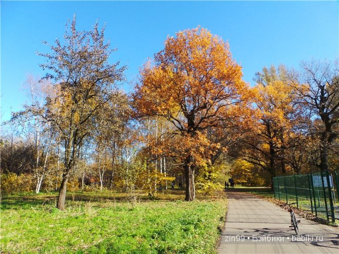 Лена, Lena Kidz 'n' Cats