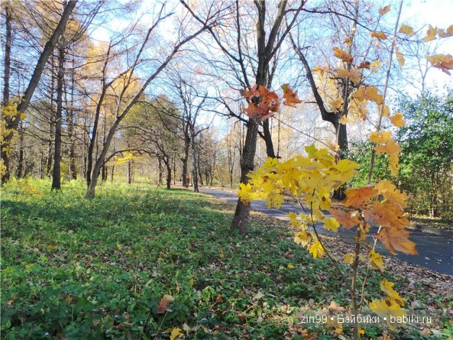 Лена, Lena Kidz 'n' Cats