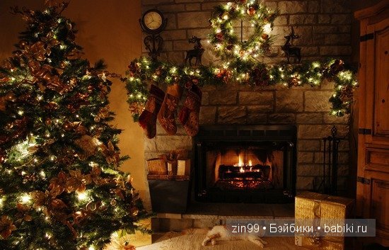 Лена, Lena Kidz 'n' Cats