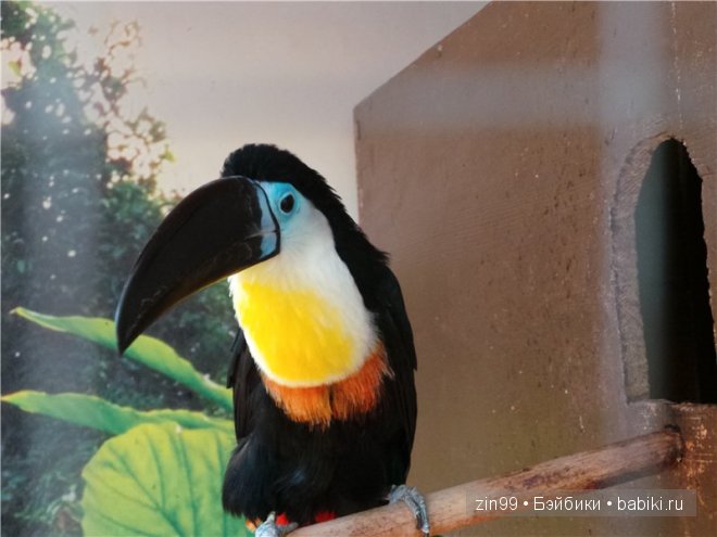 Лена, Lena Kidz 'n' Cats