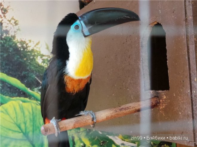 Лена, Lena Kidz 'n' Cats