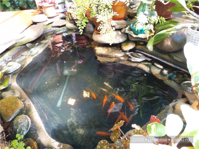 Лена, Lena Kidz 'n' Cats