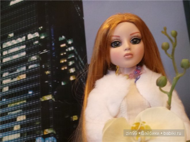 Amber Essential Tonner и Ellowyne Tonner dolls на прогулке, и дома
