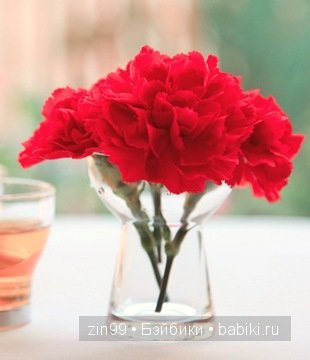 паола рейна