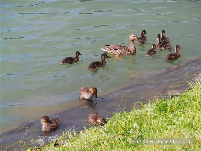 Селения, кукла БДЖ Resinsoul [Ju] праздничная прогулка в одном из парков Москвы (фото 10)