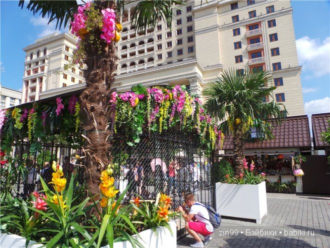 День варенья теперь с куклой капусткой Cabbage Patch