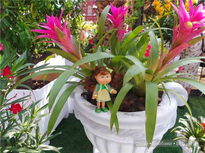 День варенья теперь с куклой капусткой Cabbage Patch (фото 7)